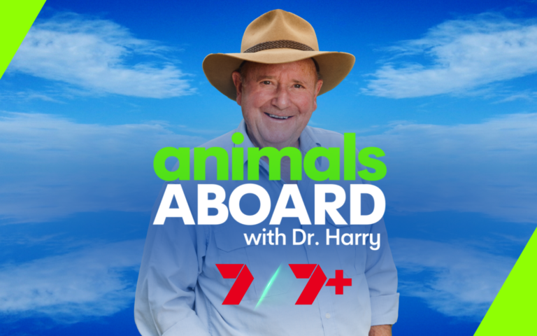 Animals Aboard with Dr. Harry on Channel 7