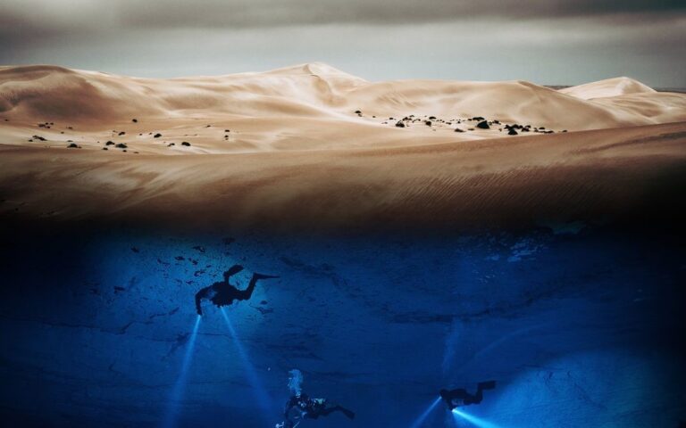 Australia's Wild Odyssey