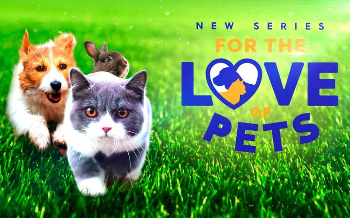 For the Love of Pets