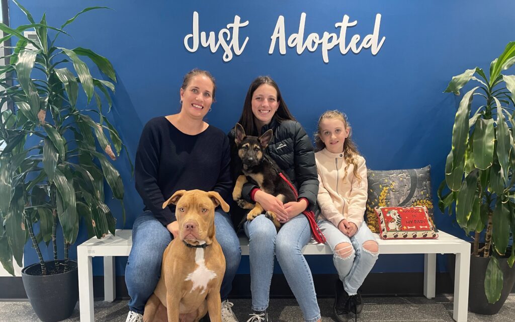 Animal SOS Australia