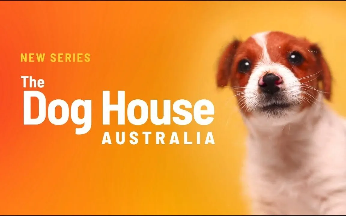 The Dog House Australia on 10