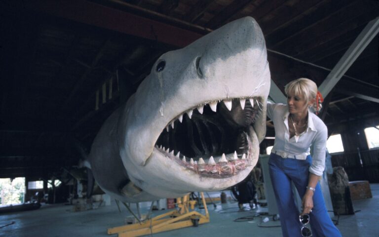 Australian Story on ABC