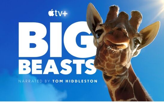 Big Beasts on Apple TV+