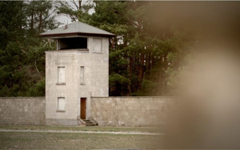 The Abyss: Rise and Fall of the Nazis