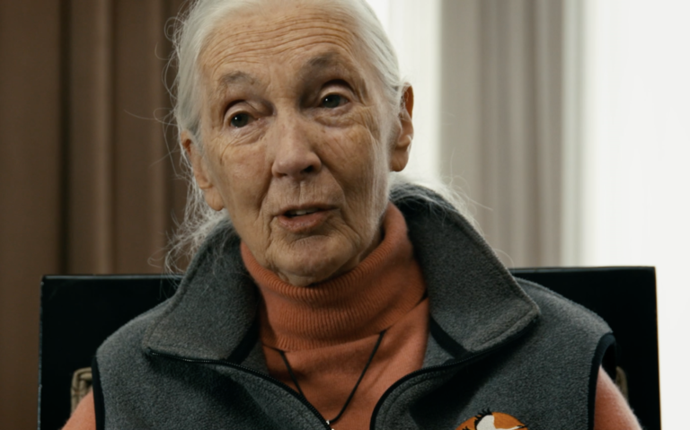 The Last Tourist on Prime Video