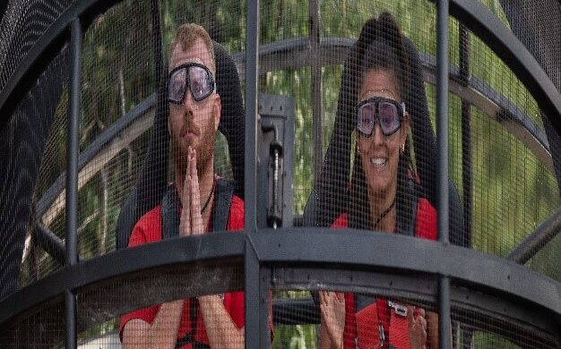Recap | I'm a Celebrity Get Me Out of Here on 10