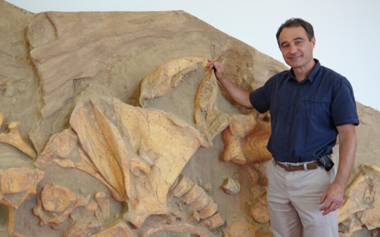 Secrets of the Giant Mammoths on SBS