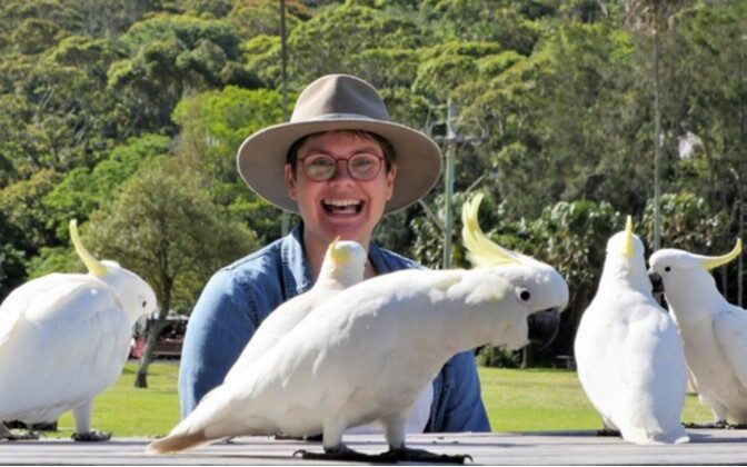 The Secret Lives of Our Urban Birds on ABC