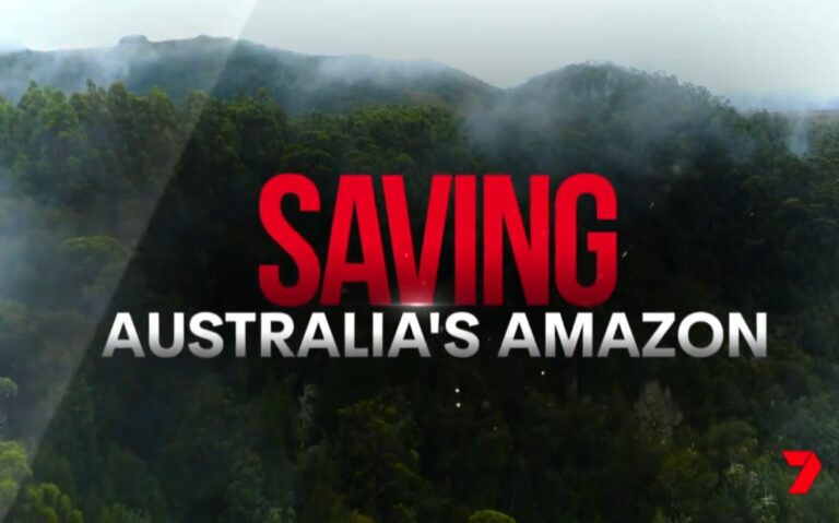 7NEWS Spotlight on Channel 7