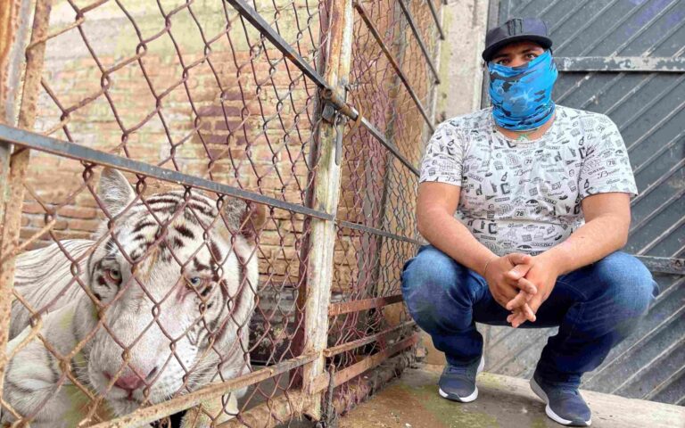 Foreign Correspondent on ABC