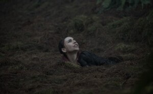 June on Shudder, AMC+ and Acorn TV