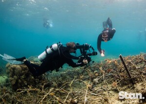 Stan Weekly News Update