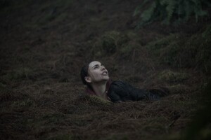 July on Shudder, AMC+ and Acorn TV