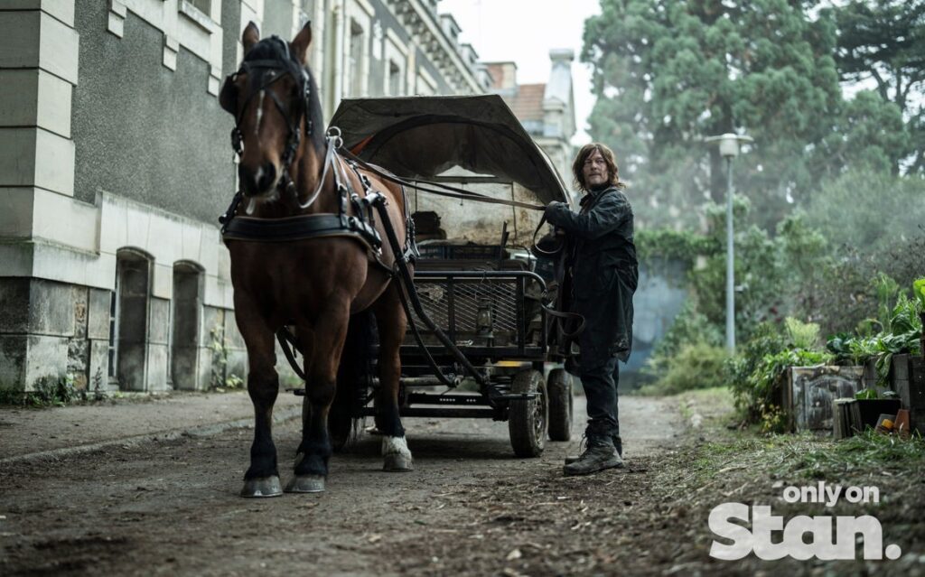 The Walking Dead: Daryl Dixon on Stan