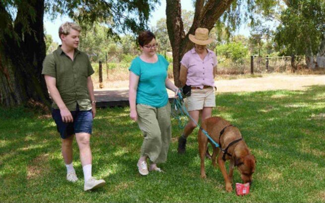New Leash on Life on ABC