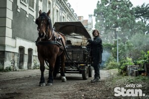 Stan Weekly News Update