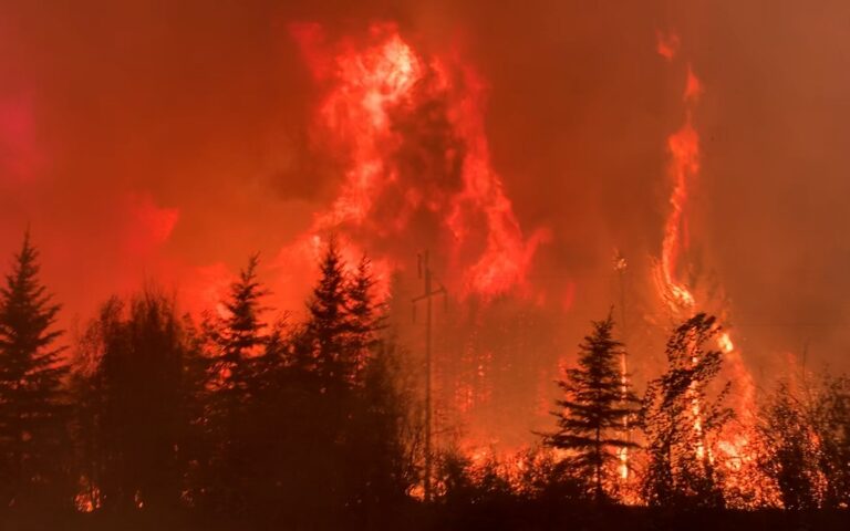 Foreign Correspondent on ABC TV