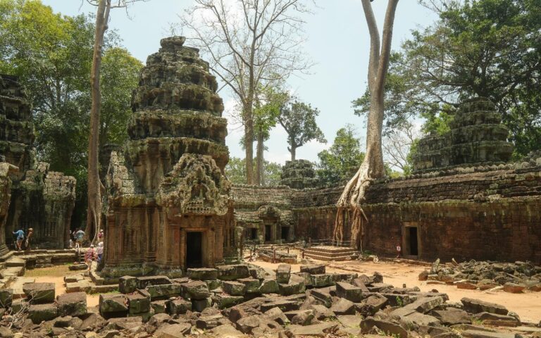 Foreign Correspondent on ABC TV