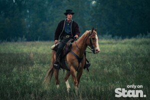 Stan Weekly News Update