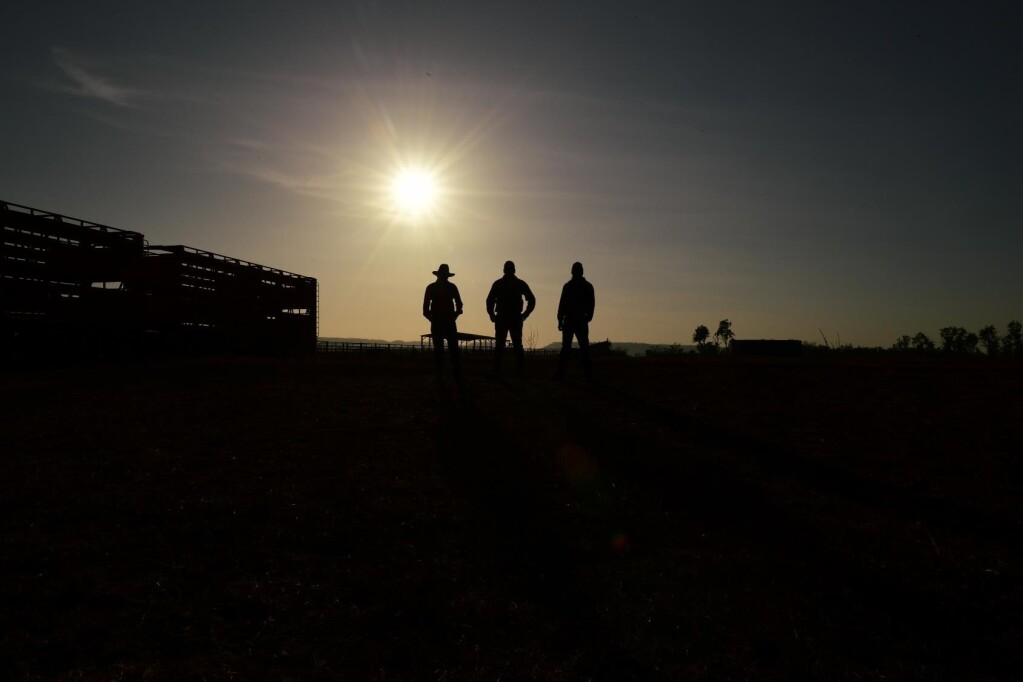 Desert King on Netflix