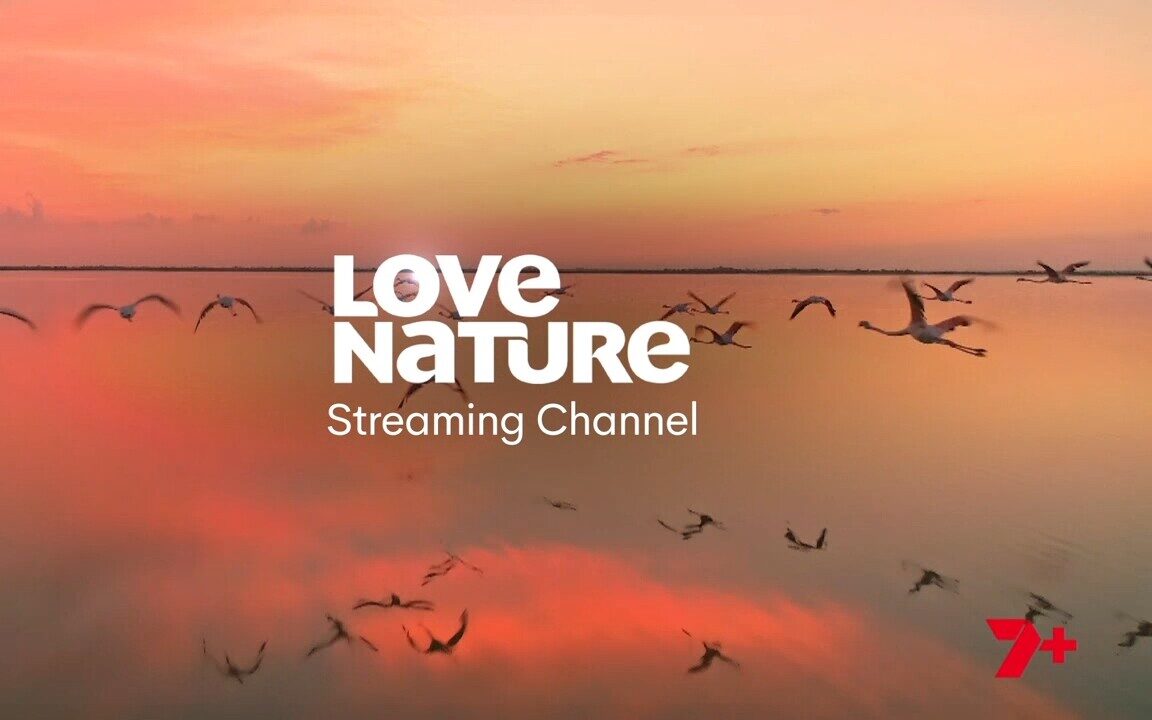 Seven’s FAST channels race ahead