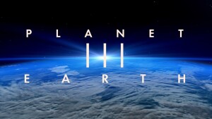 2024 Channel 9 Upfronts