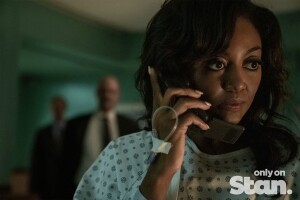 Stan Weekly News Update