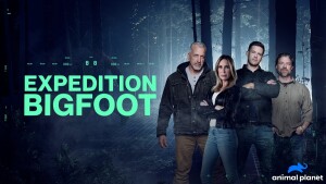 November on Warner Bros. Discovery