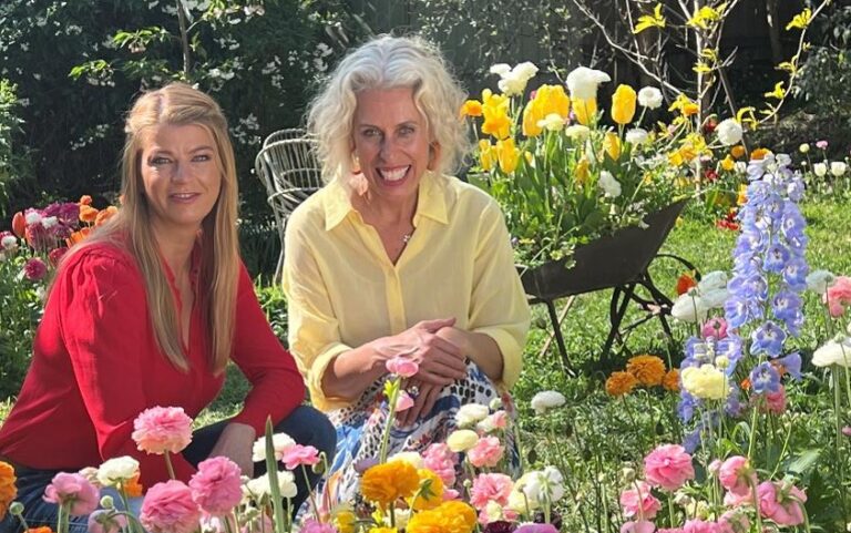 Better Homes and Gardens on Channel 7