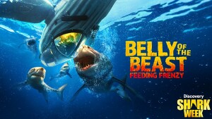 Shark Week on Discovery