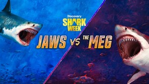 Shark Week on Discovery