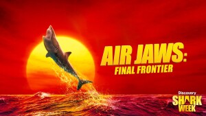 Shark Week on Discovery