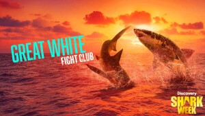 Shark Week on Discovery