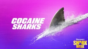 Shark Week on Discovery