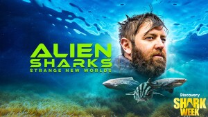 Shark Week on Discovery