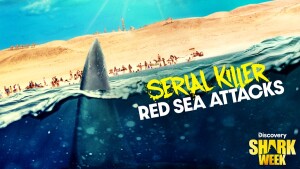 Shark Week on Discovery