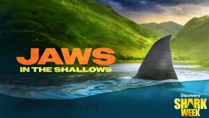 Shark Week on Discovery
