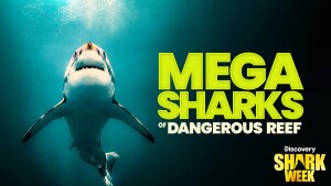 Shark Week on Discovery