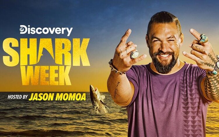 Shark Week on Discovery