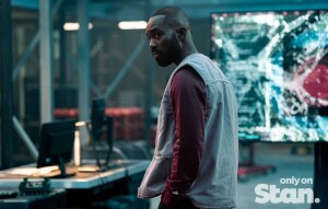 Stan Weekly News Update