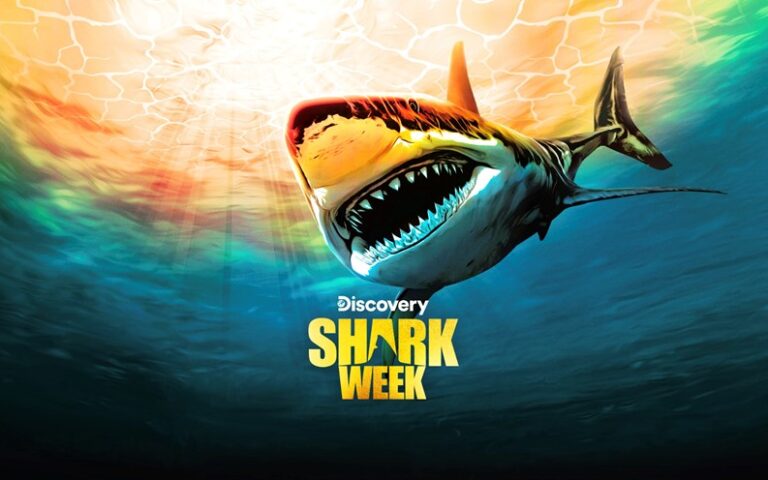 December on Warner Bros. Discovery