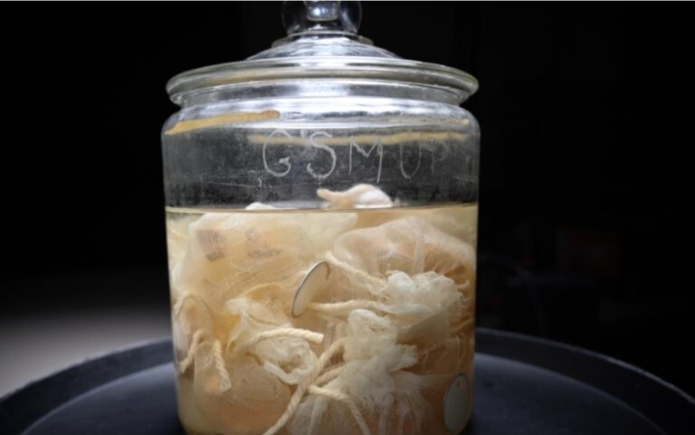 The Man Who Stole Einstein's Brain on SBS Viceland