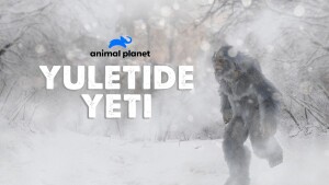 December on Warner Bros. Discovery