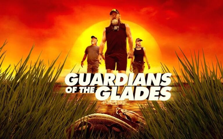 February on Warner Bros. Discovery