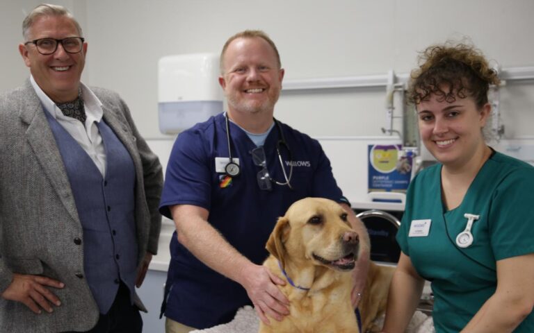 The Dog Hospital with Graeme Hall on 10