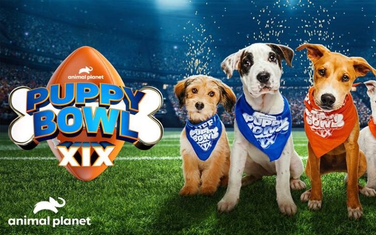 Puppy Bowl on Animal Planet