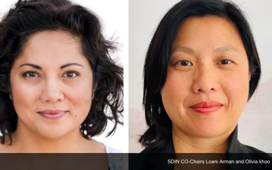 22nd Annual SPA Awards - SDIN Award Finalists