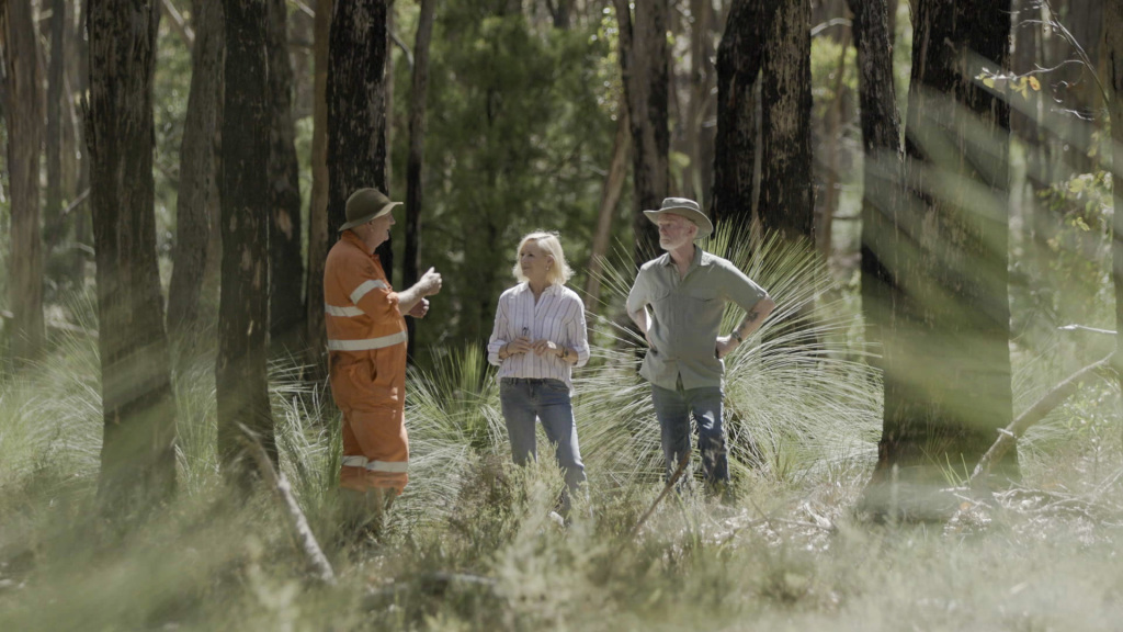 Under Investigation with Liz Hayes on Channel 9