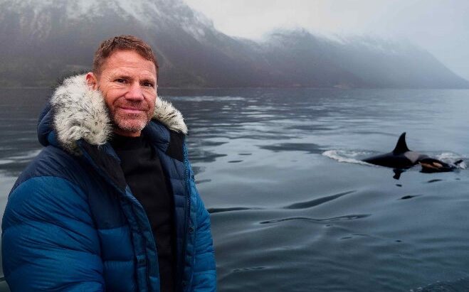 Whale with Steve Backshall on ABC