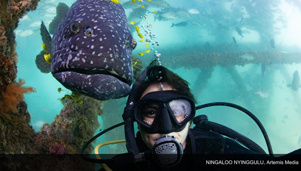 SPA CEO Addresses Need For Protection of Documentary Genre at AIDC